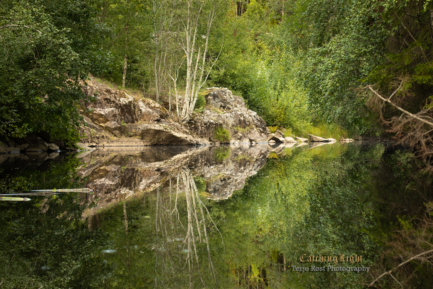 River reflection III